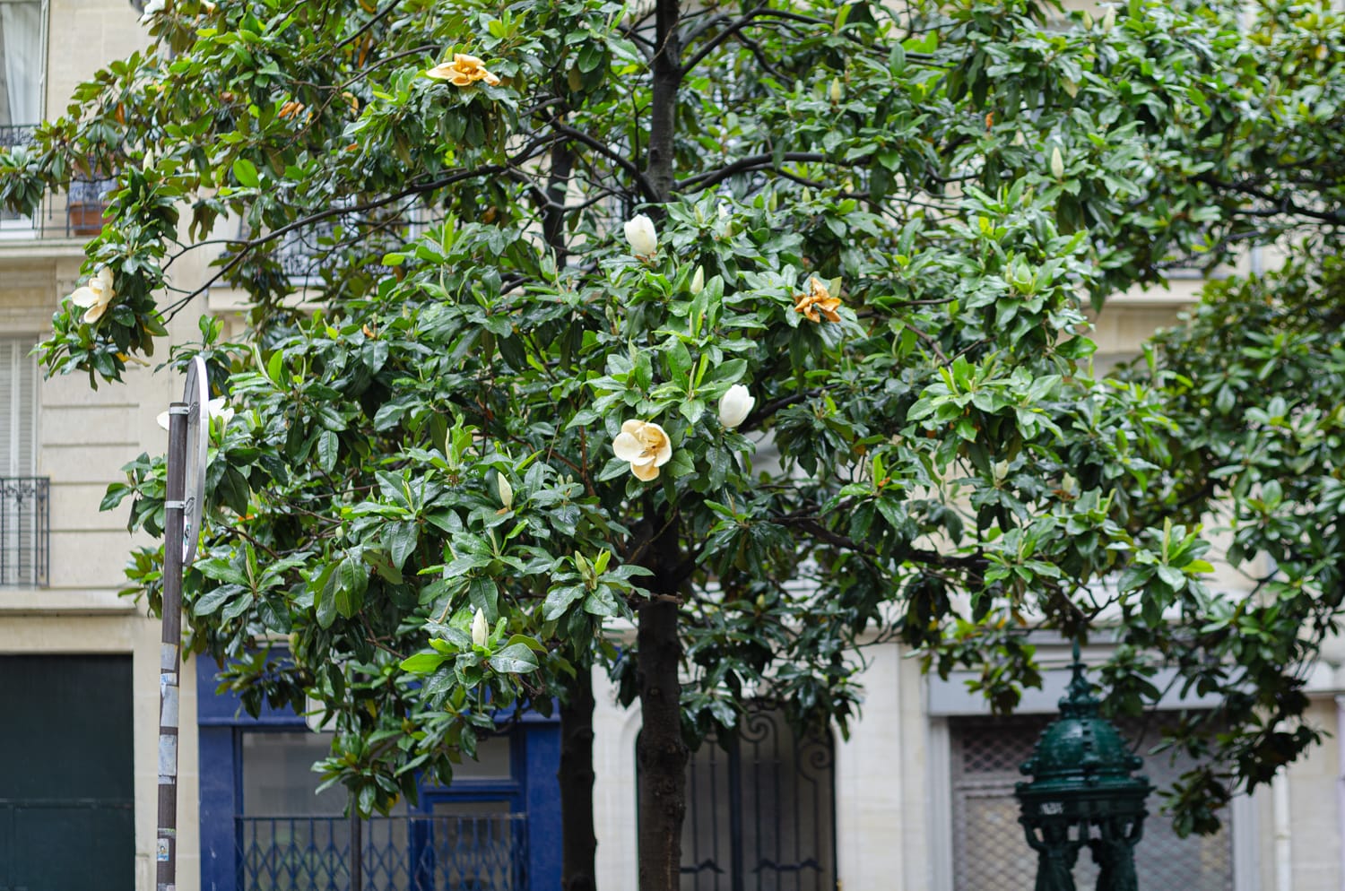 Фото 37 из альбома Paris 2014