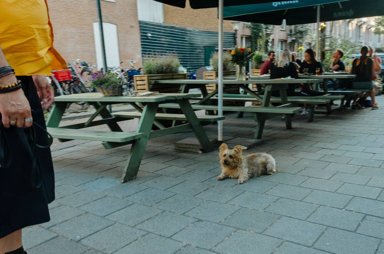 Фото 92 из альбома Amsterdam 2018