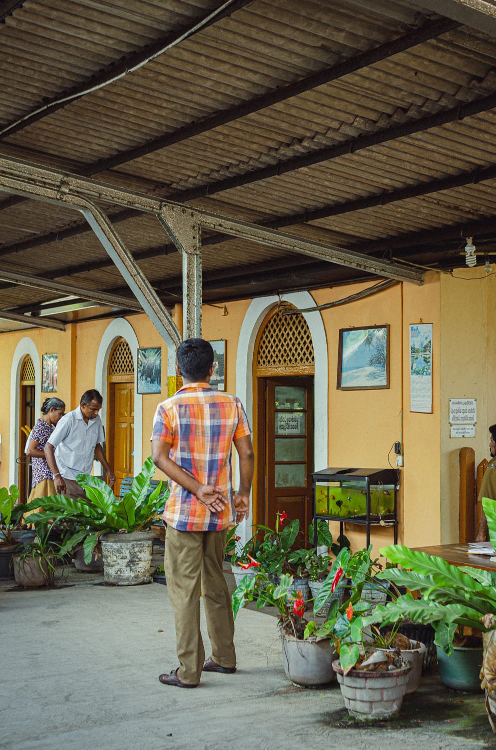 Превью Sri Lanka 2019