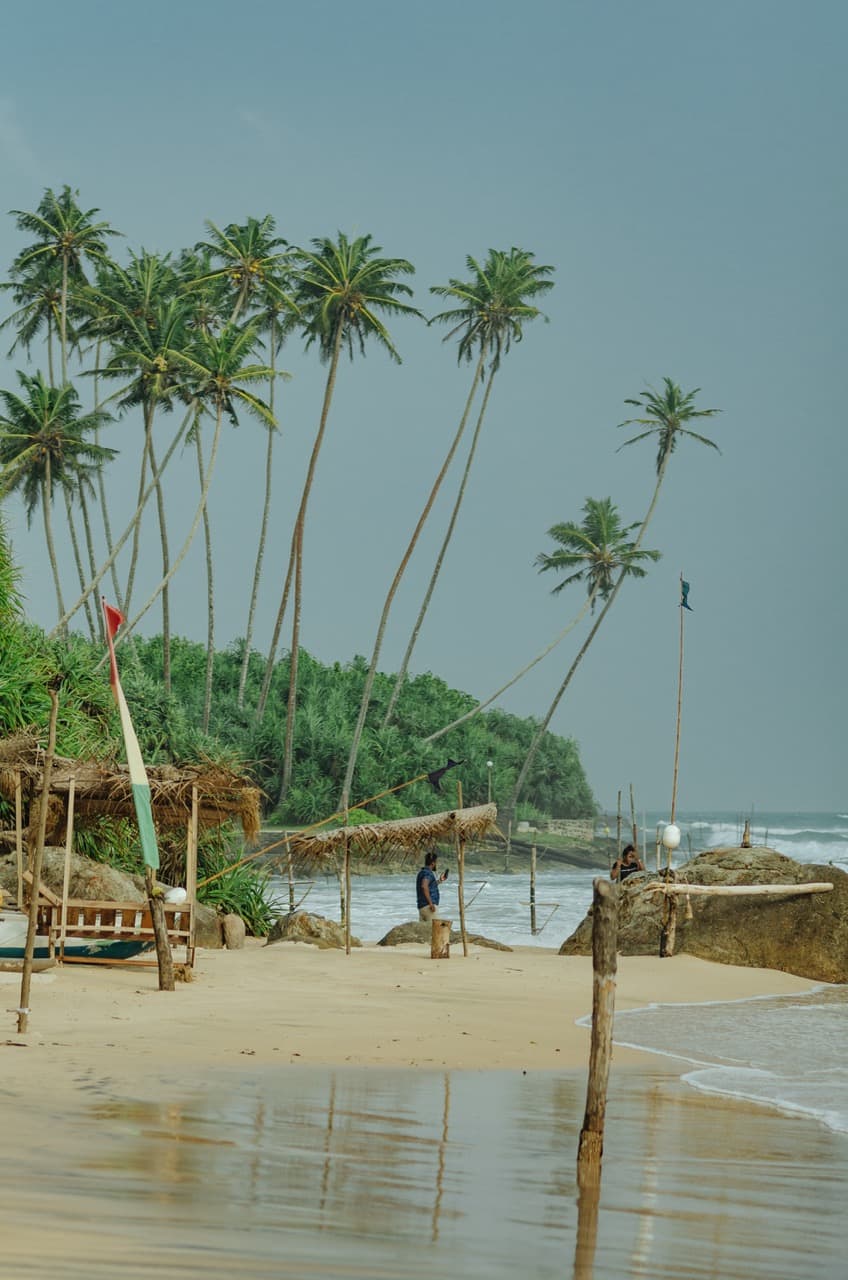 Фото 34 из альбома Sri Lanka 2022