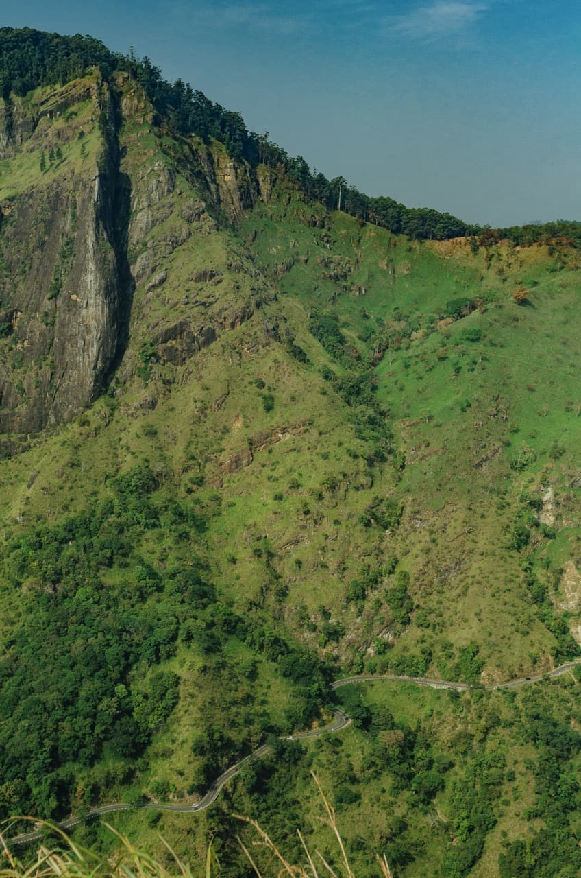 Фото 85 из альбома Sri Lanka 2022