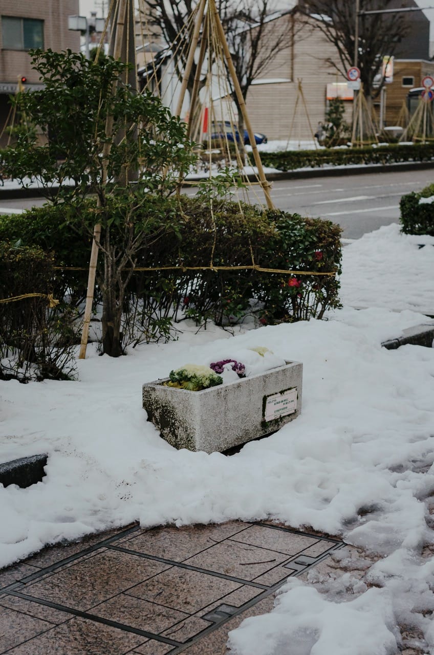 Фото 5 из альбома Kanazawa 2024