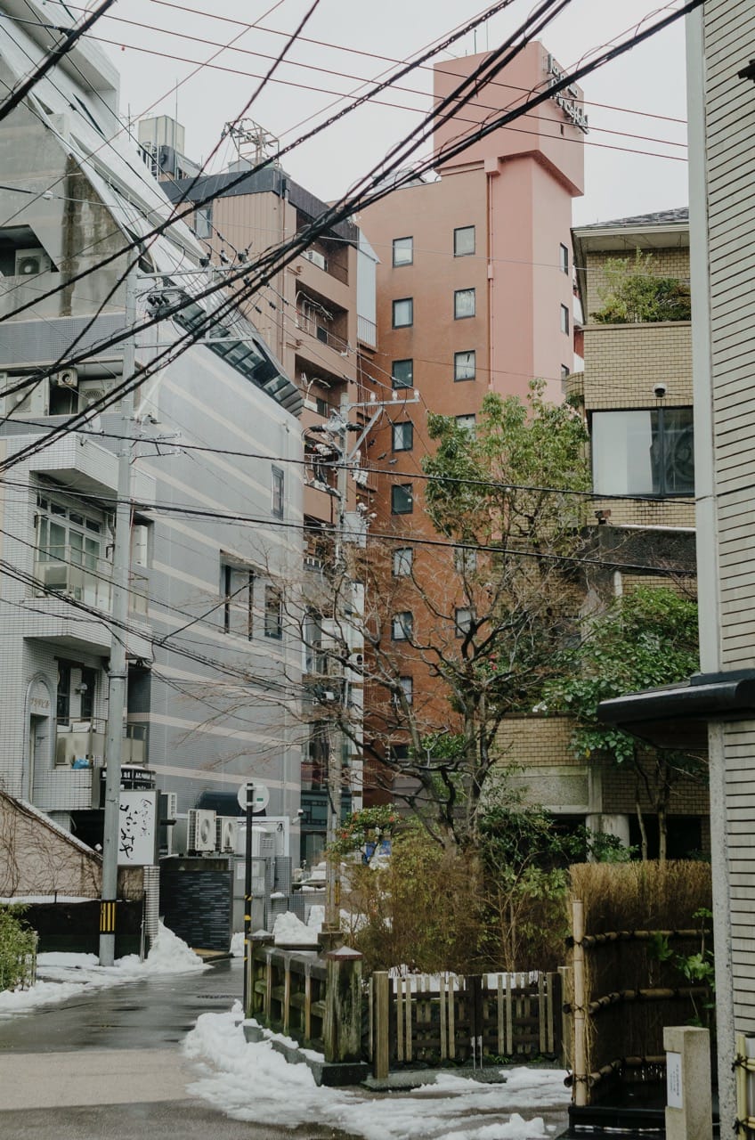 Фото 31 из альбома Kanazawa 2024