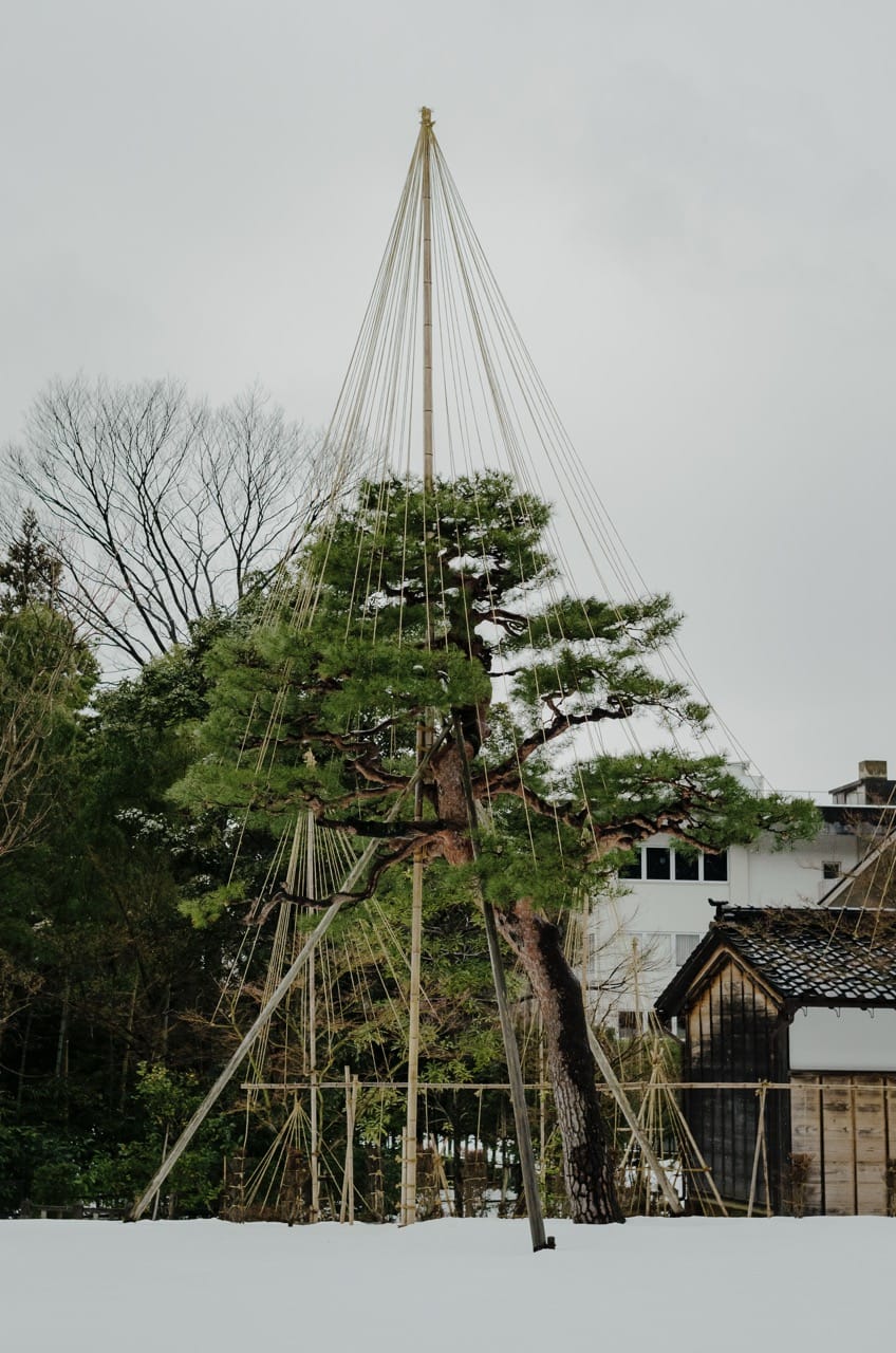 Фото 41 из альбома Kanazawa 2024