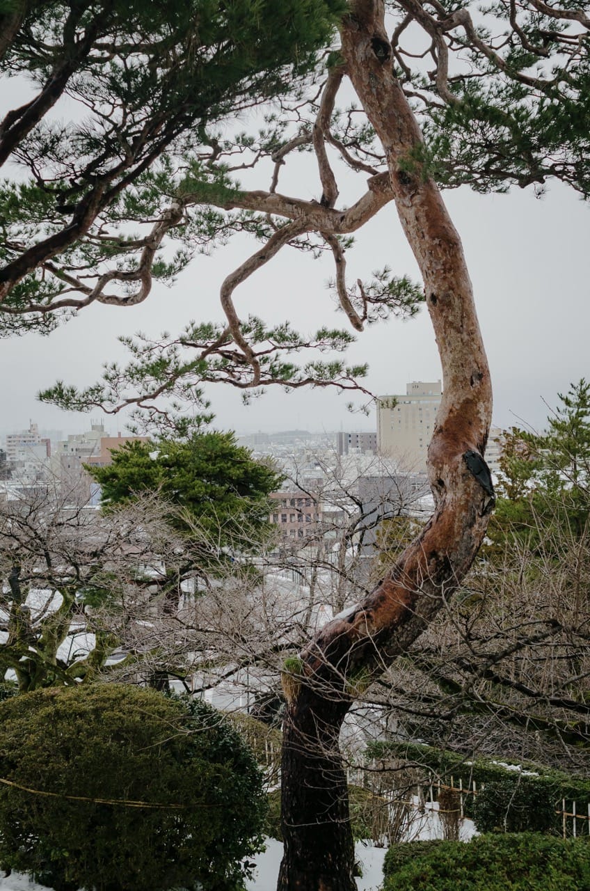 Фото 53 из альбома Kanazawa 2024