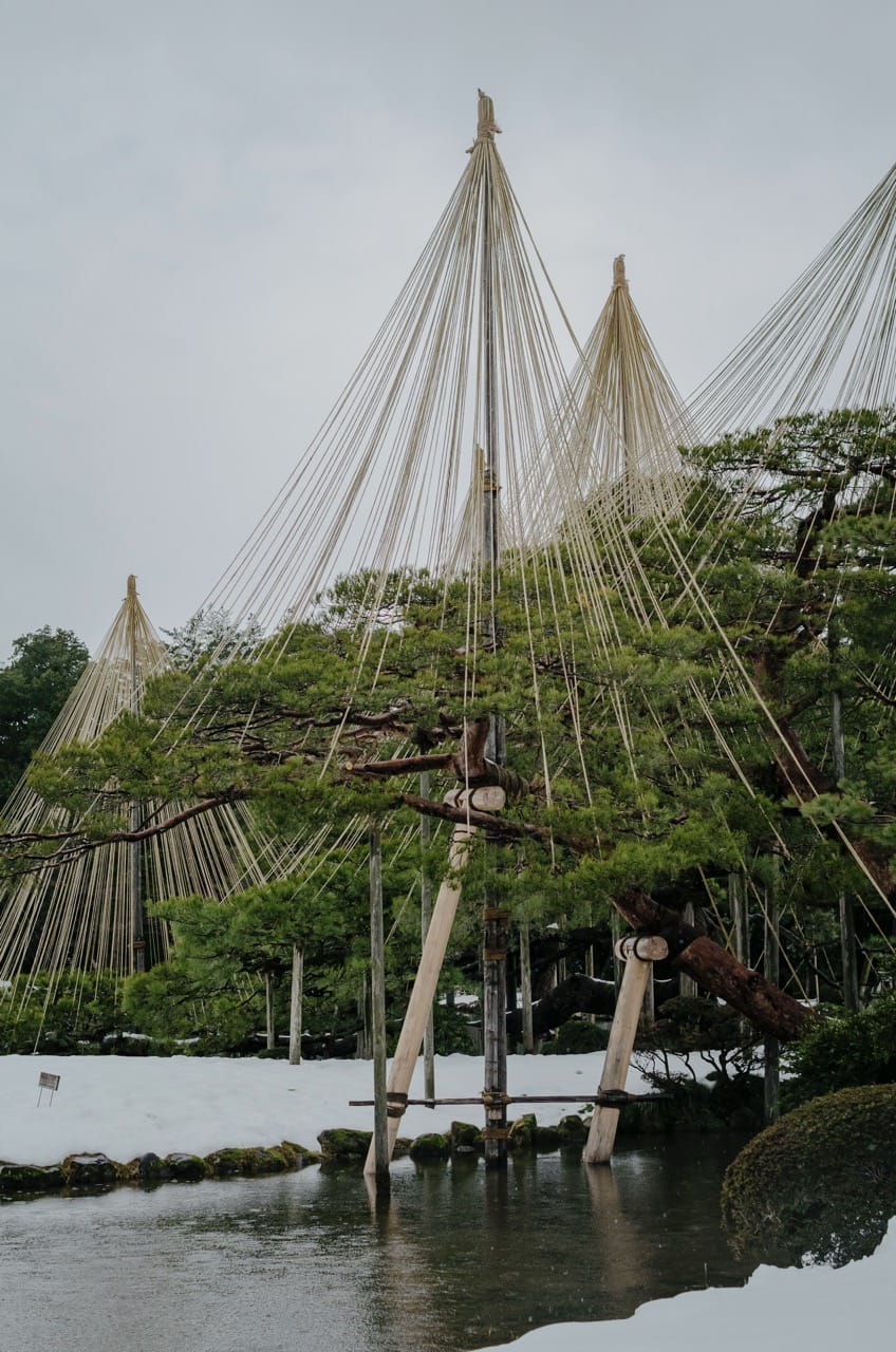 Фото 58 из альбома Kanazawa 2024