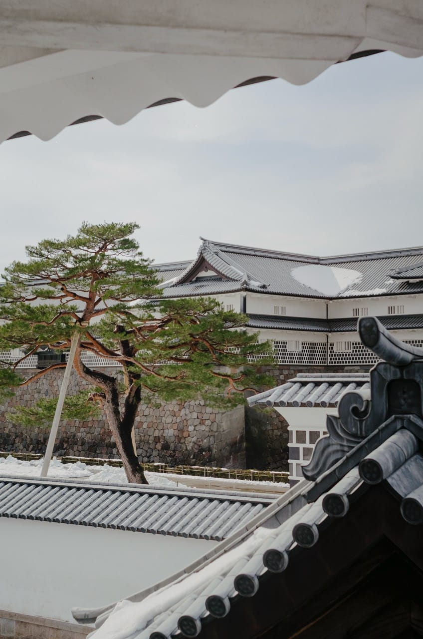 Фото 65 из альбома Kanazawa 2024