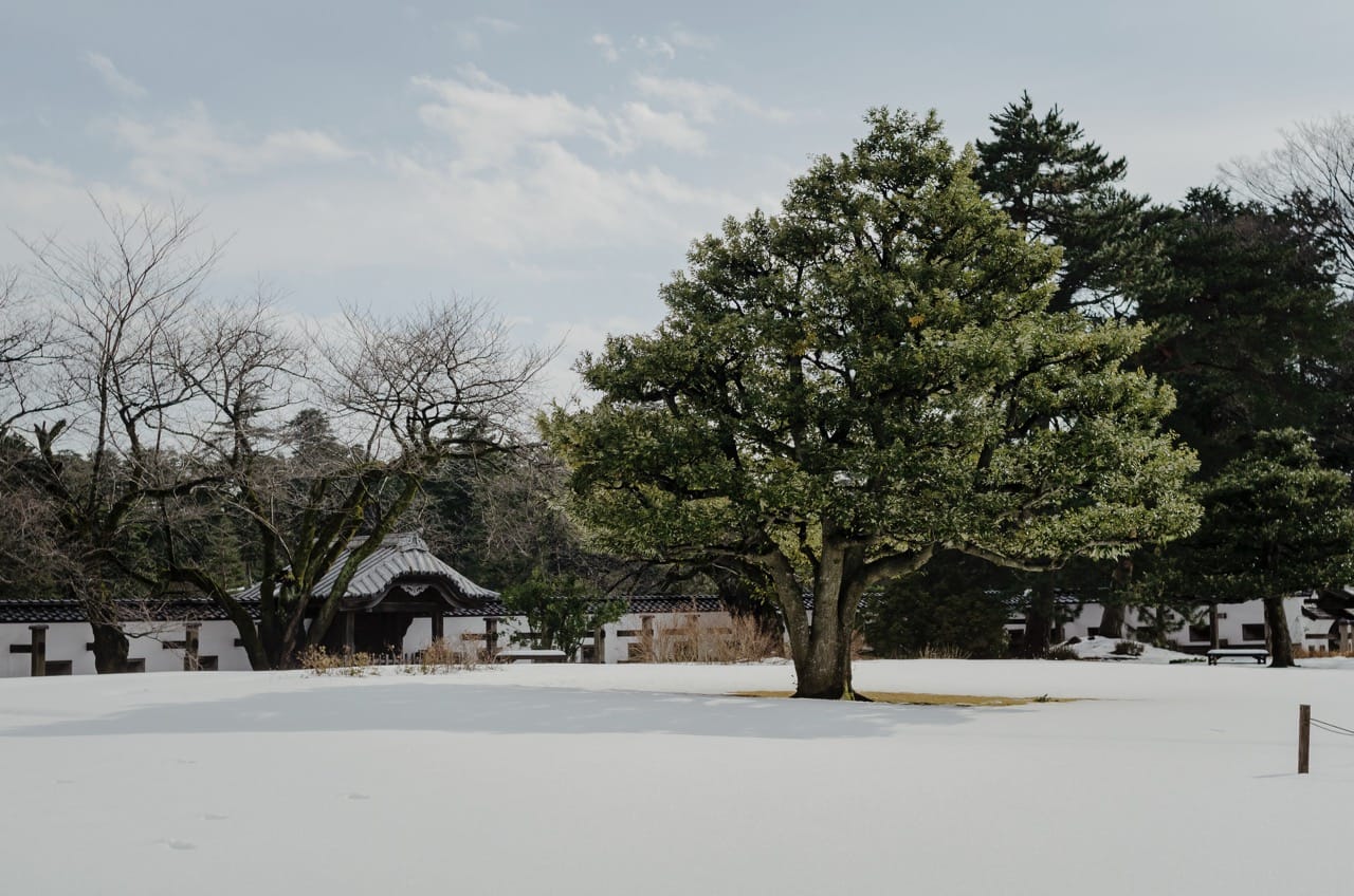 Фото 67 из альбома Kanazawa 2024