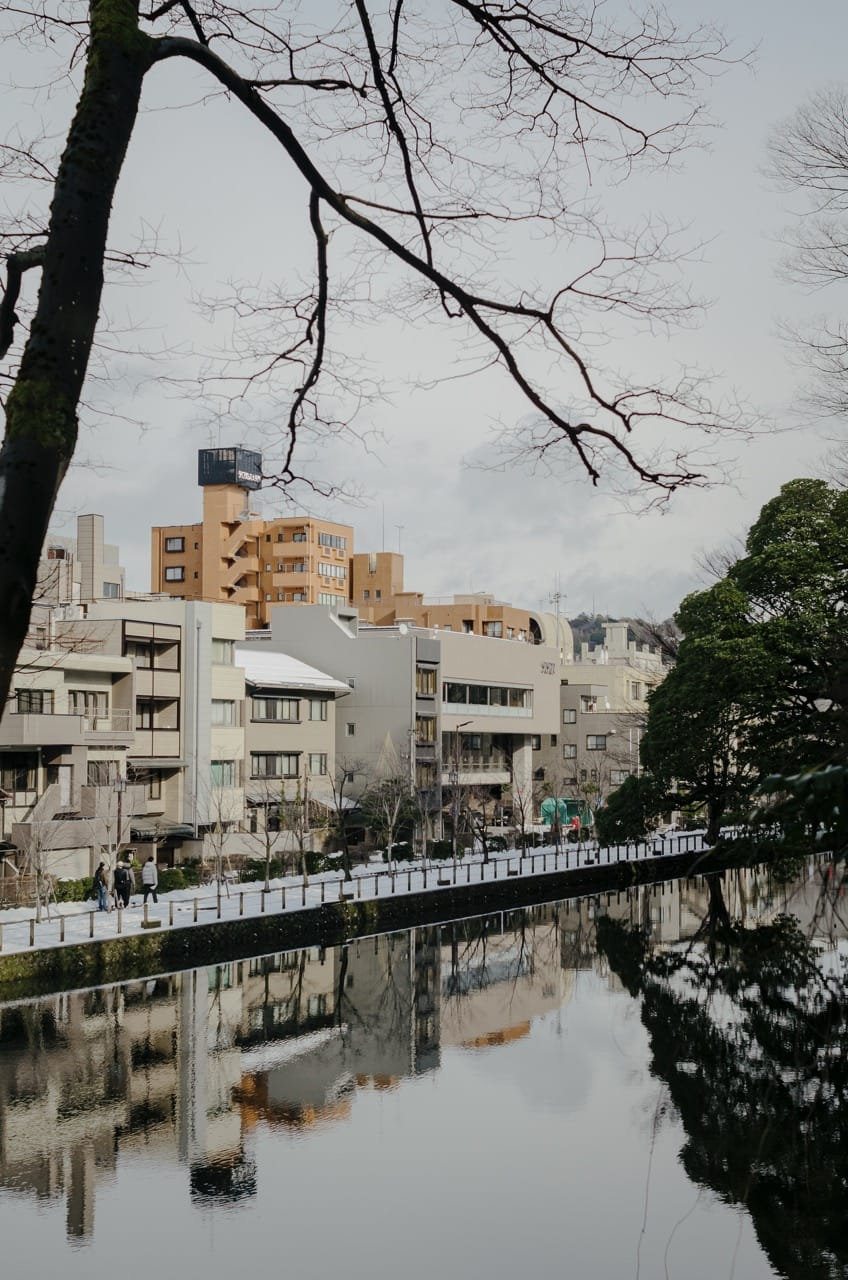 Фото 79 из альбома Kanazawa 2024