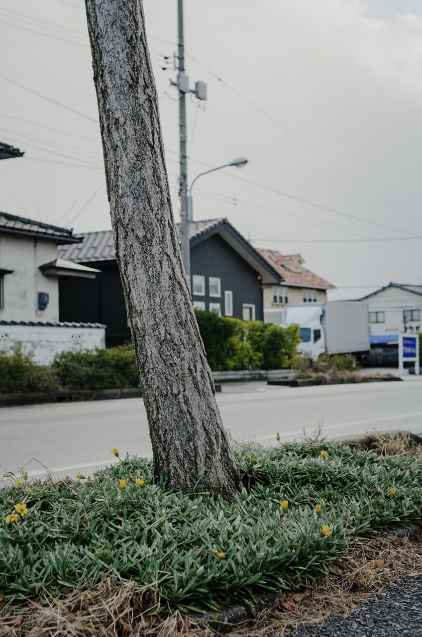 Фото 114 из альбома Kanazawa 2024