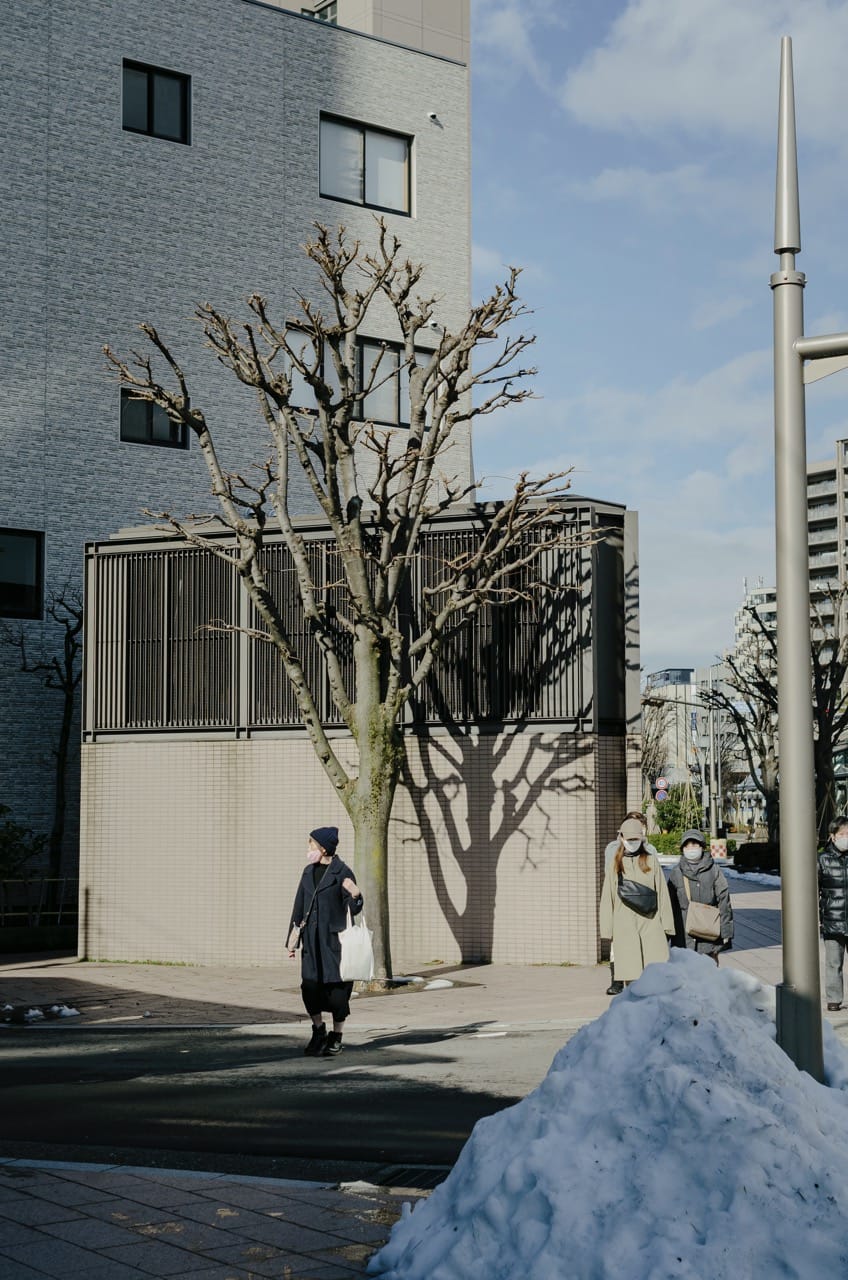 Фото 128 из альбома Kanazawa 2024