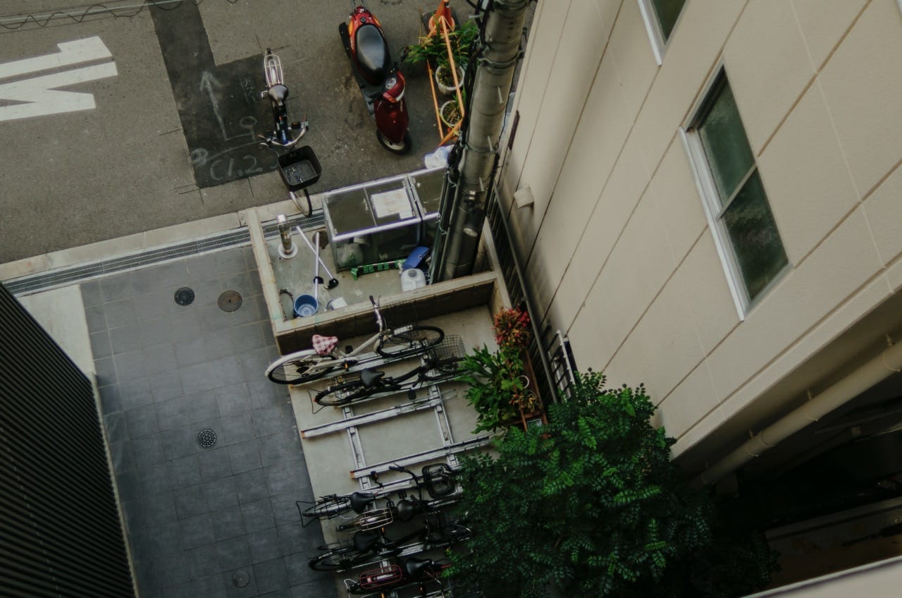 Фото 72 из альбома Osaka 2024